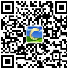 1564557262465213.png blob.png